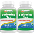 Berberine 1000mg Vitamin C Zinc 60 Capsules O8040