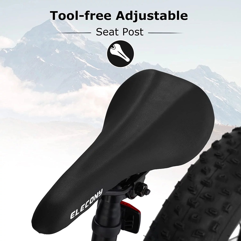 24 Inch Fat Tire Bike 7 Speeds Dual Disc Brake High-Carbon Steel Frame C595