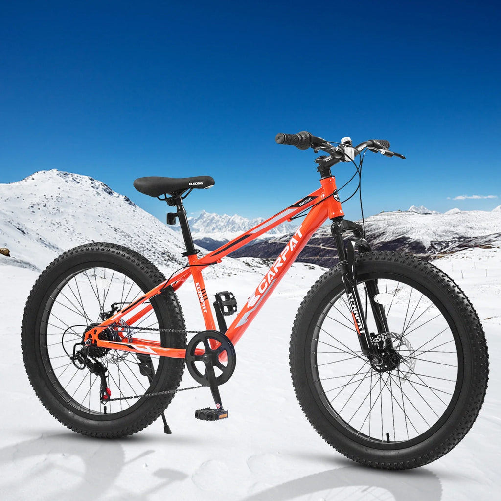 24 Inch Fat Tire Bike 7 Speeds Dual Disc Brake High-Carbon Steel Frame C595