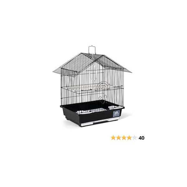 Parakeet Manor M6855