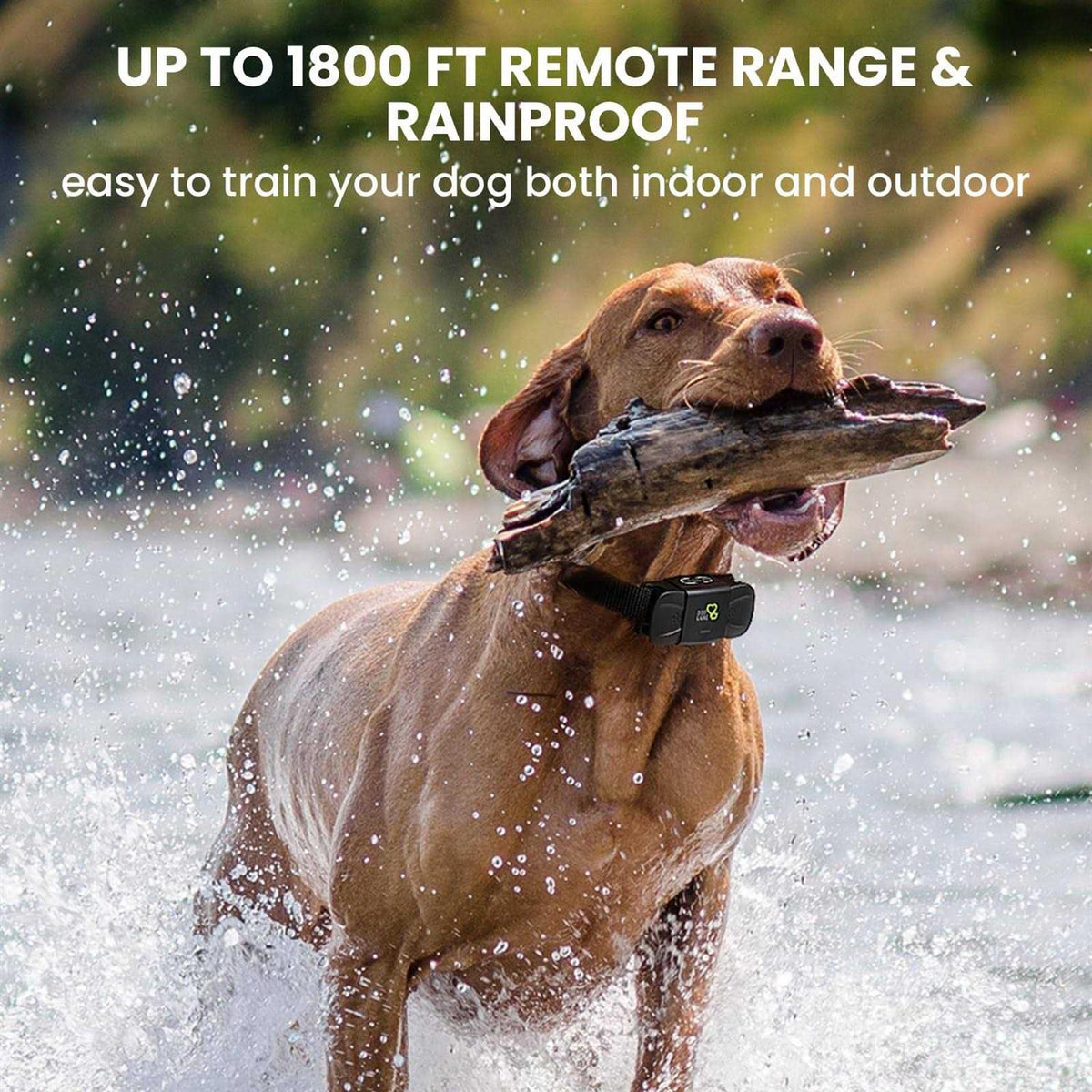 Dog Training Collar with Beep Vibration A17792