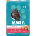 Salmon Adult Dry Cat Food I61251