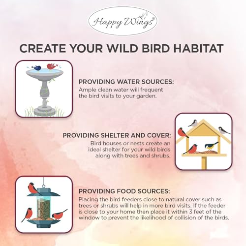 Peanuts Wild Bird Food 5 Pounds P430280