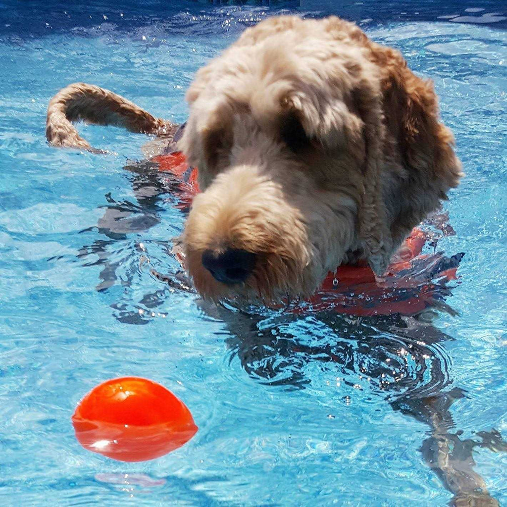 Indestructible Dog Toy Ball A8404