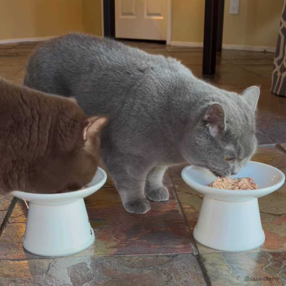 Cat Food Tuna S923568