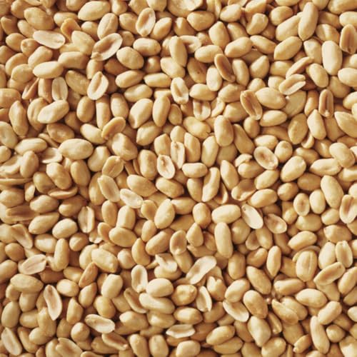 Peanuts Wild Bird Food 5 Pounds P430280