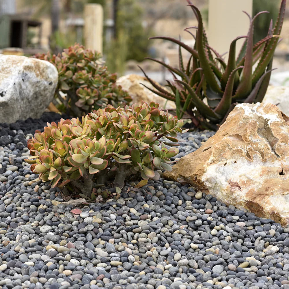 Round River Rock Landscape Stones 40 pounds B7473