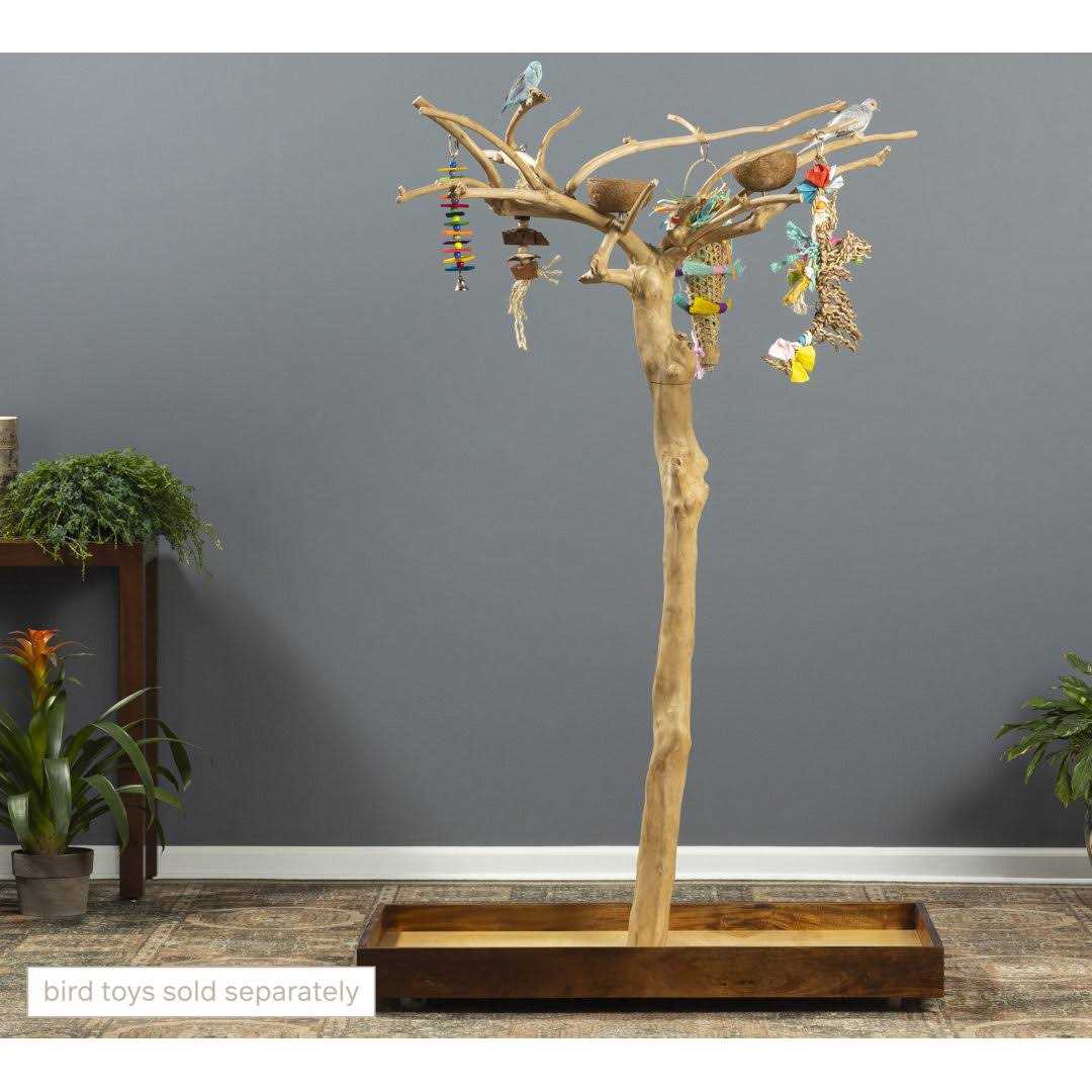 Coffeawood Tree Floor Stand G587116
