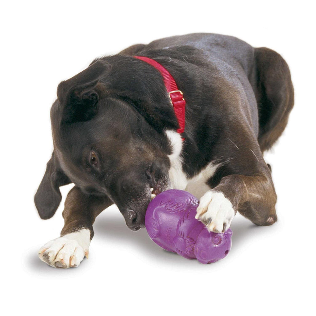 Squirrel Dude Dog Toy K2917