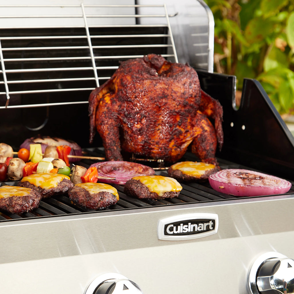 2-Burner Dual Fuel Gas Grill Y6695