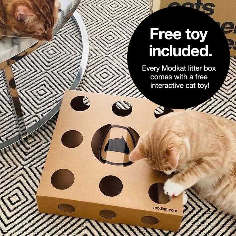 Litter Box L12087