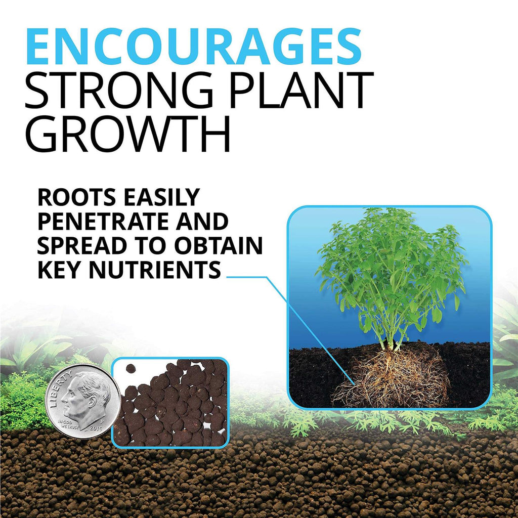 Plant and Shrimp Stratum N406