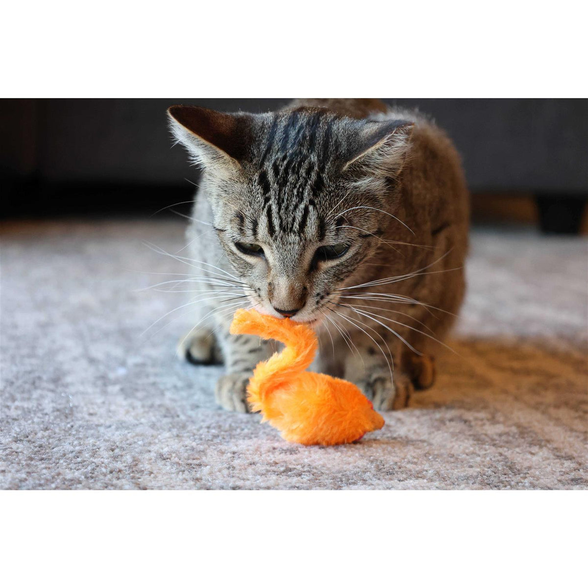 24 Piece Cat Toys D96692