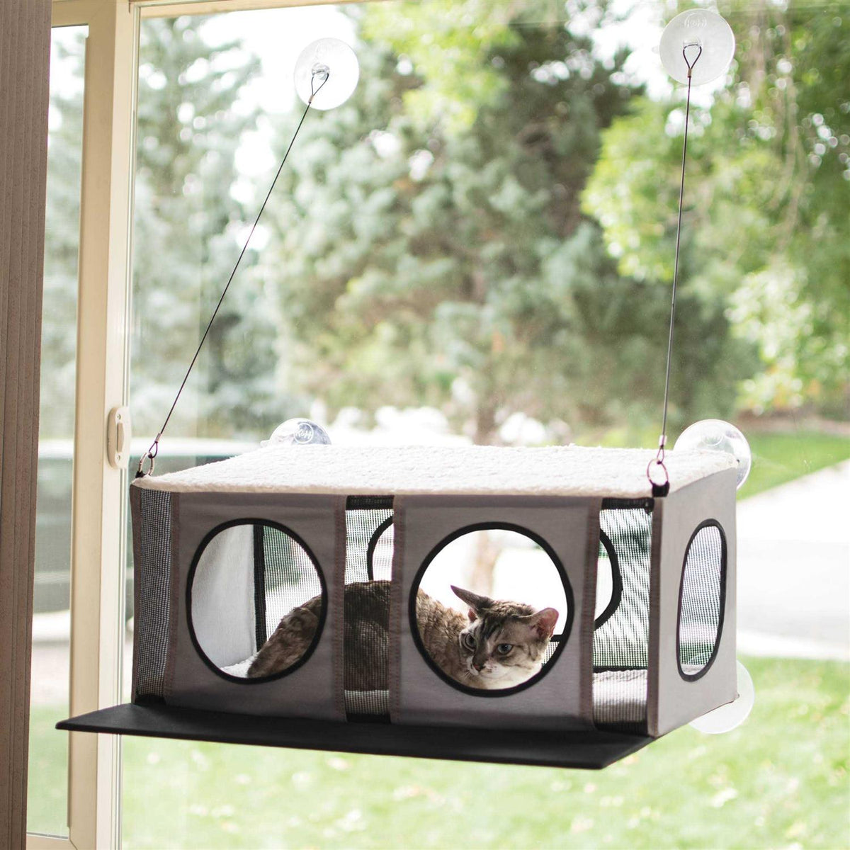 Cat Penthouse N276886