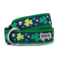 Dog Collar P703170