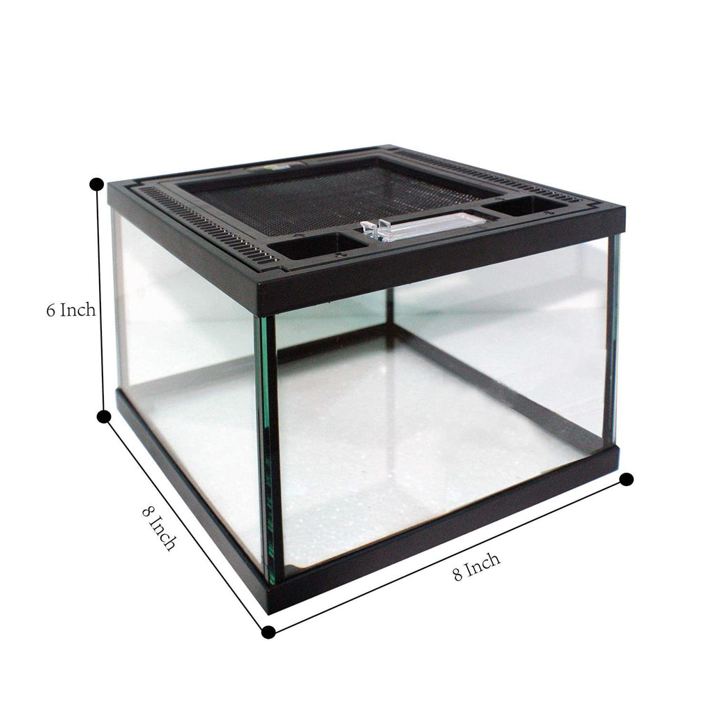 Glass Terrarium with Ventilation Opening and Feeding Hole J487073