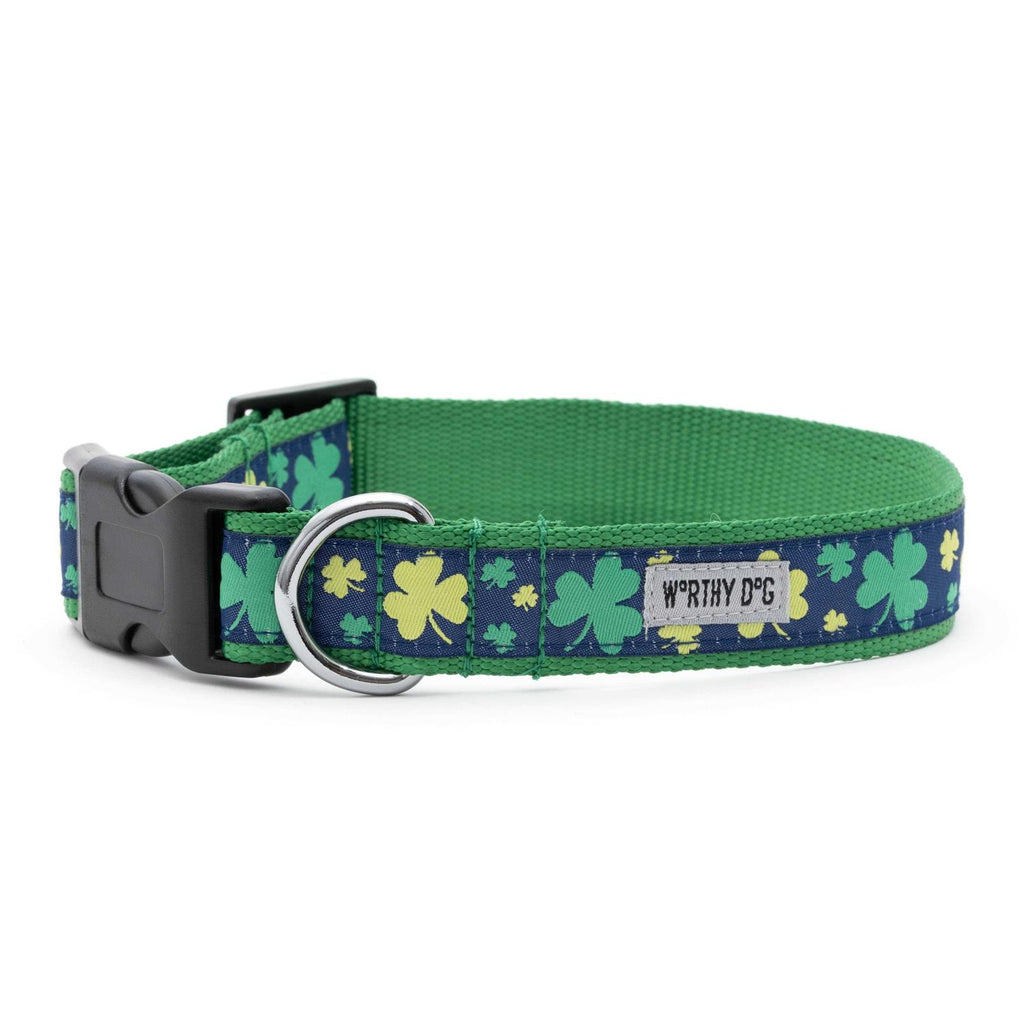 Dog Collar P703170