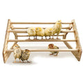 Chick Perch Roosting Bar Toy T2027