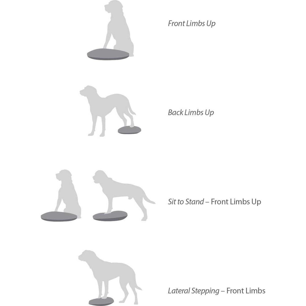Balance Disc X72414