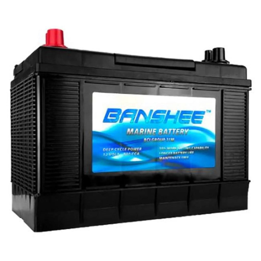 Replacement Battery T75749