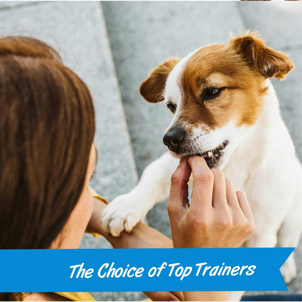 Mini Training Dog A54369