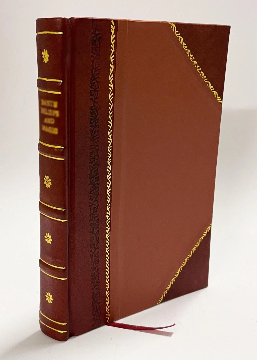 Bible History Leather Bound N770695