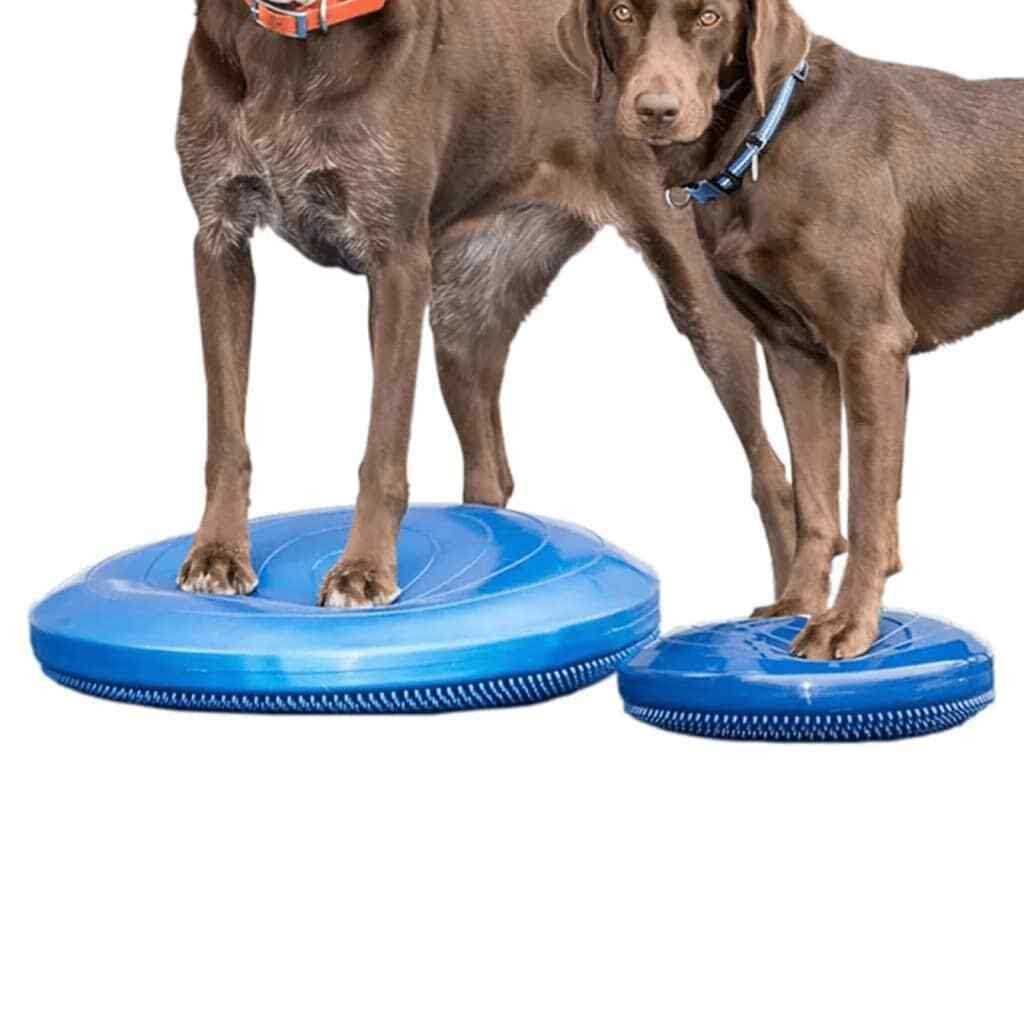 Balance Disc X72414