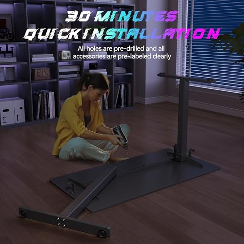 Adjustable Height Electric Standing Desk with Lockable Wheels Z485