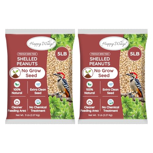 Peanuts Wild Bird Food 5 Pounds P430280