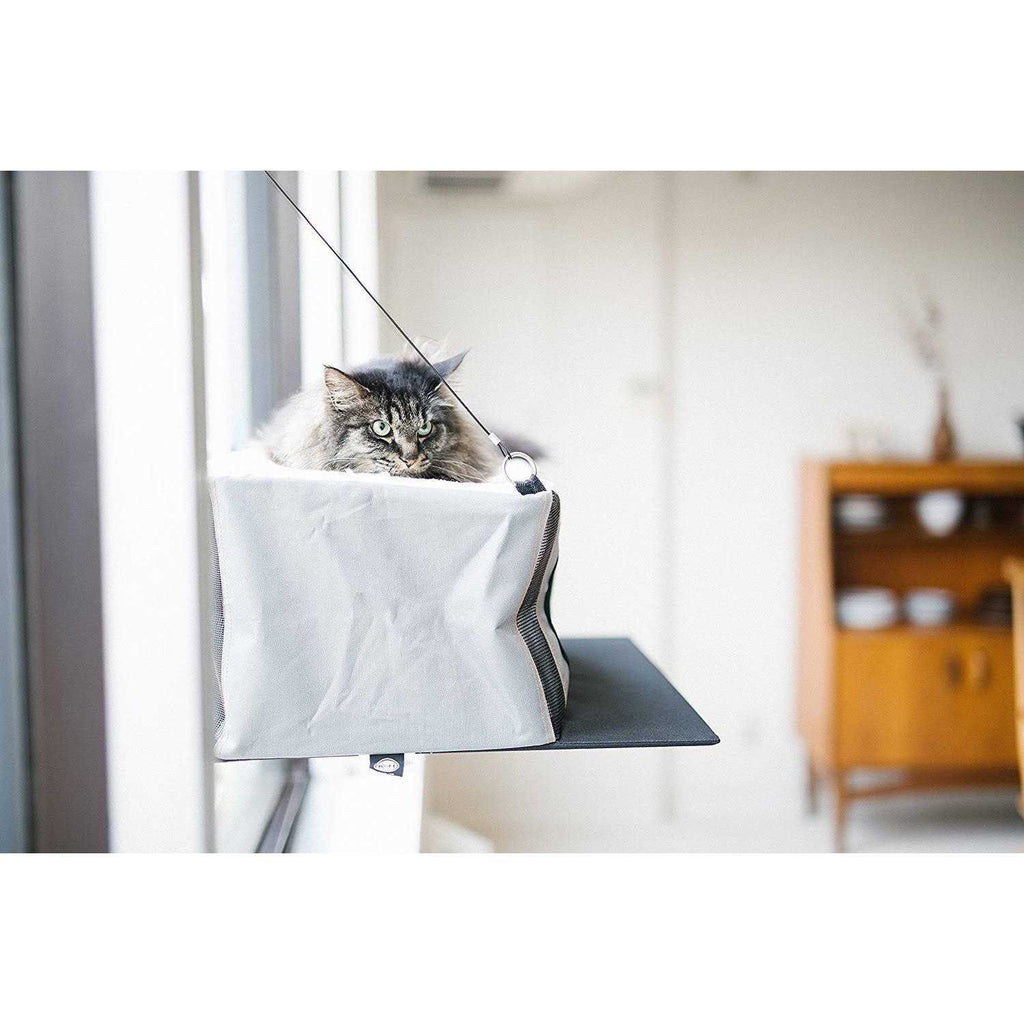 Cat Penthouse N276886