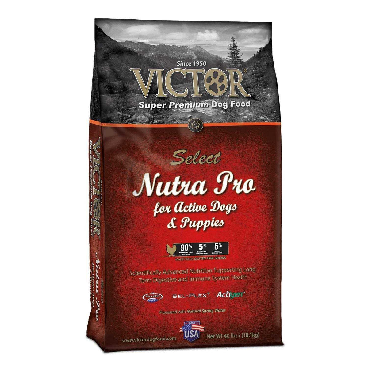 Dog Food P680821