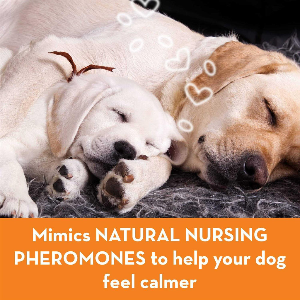 Calming Diffuser Kit Dog H252575