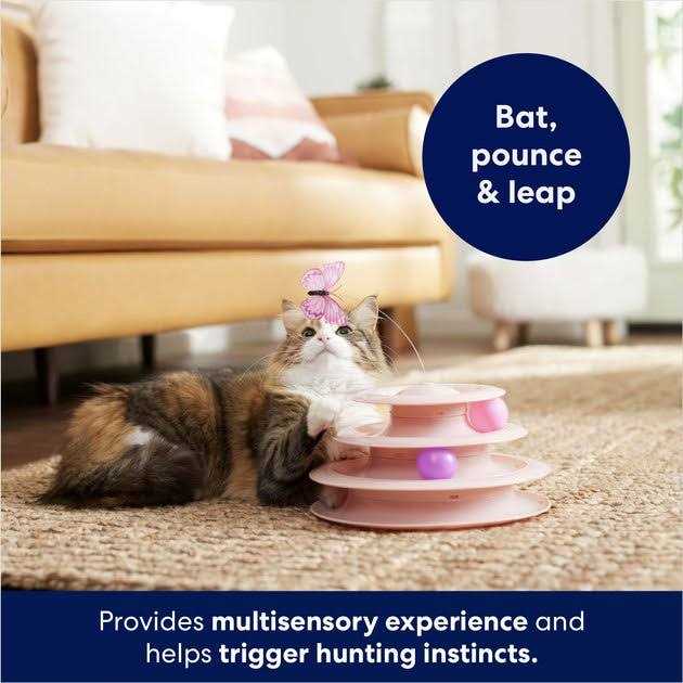 Cat Toy C7839