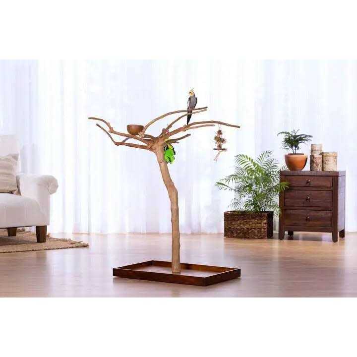 Coffeawood Tree Floor Stand G587116