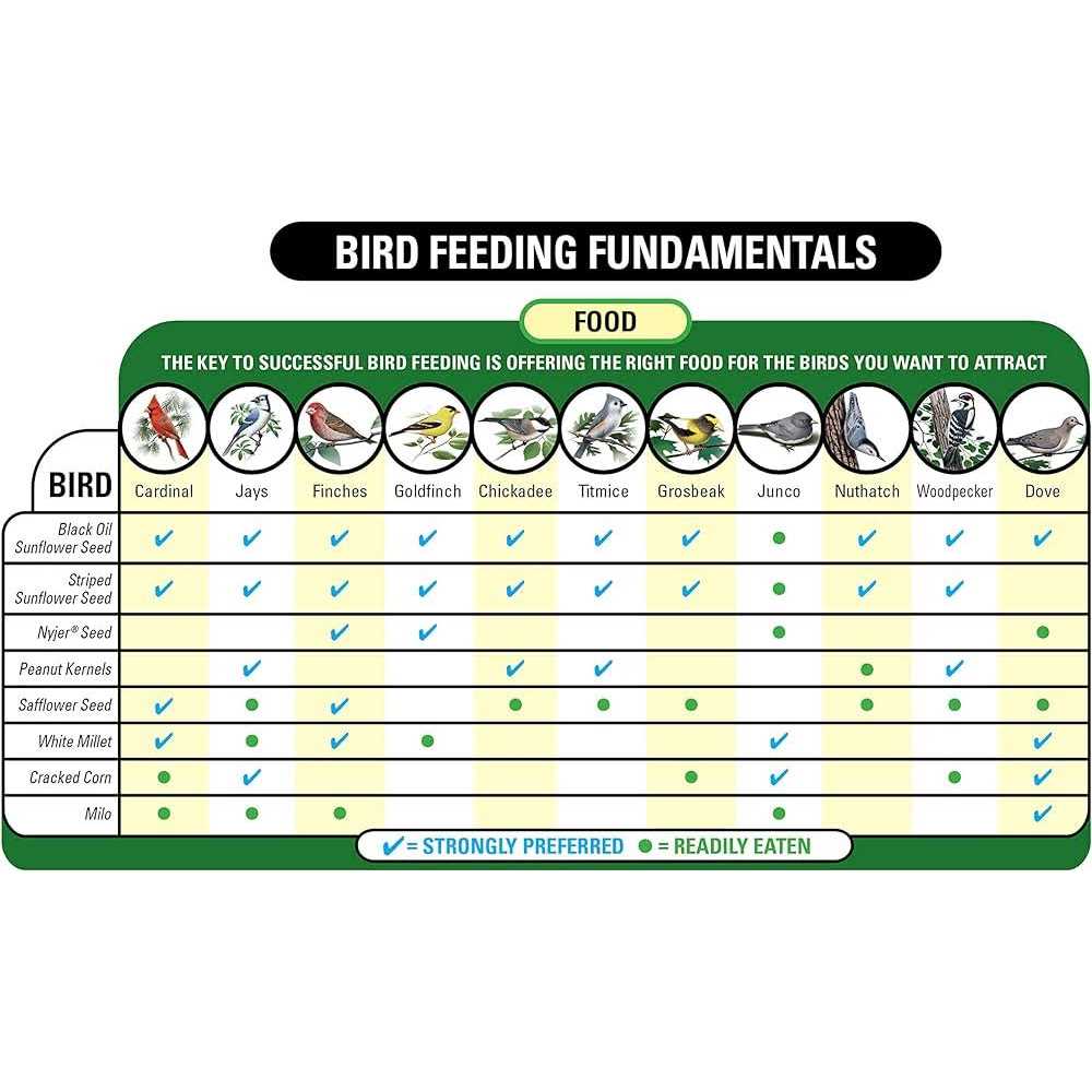 Cracked Corn Wild Bird Food T644