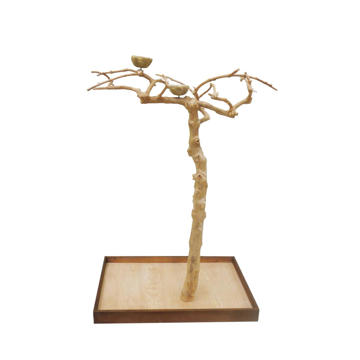 Coffeawood Tree Floor Stand G587116