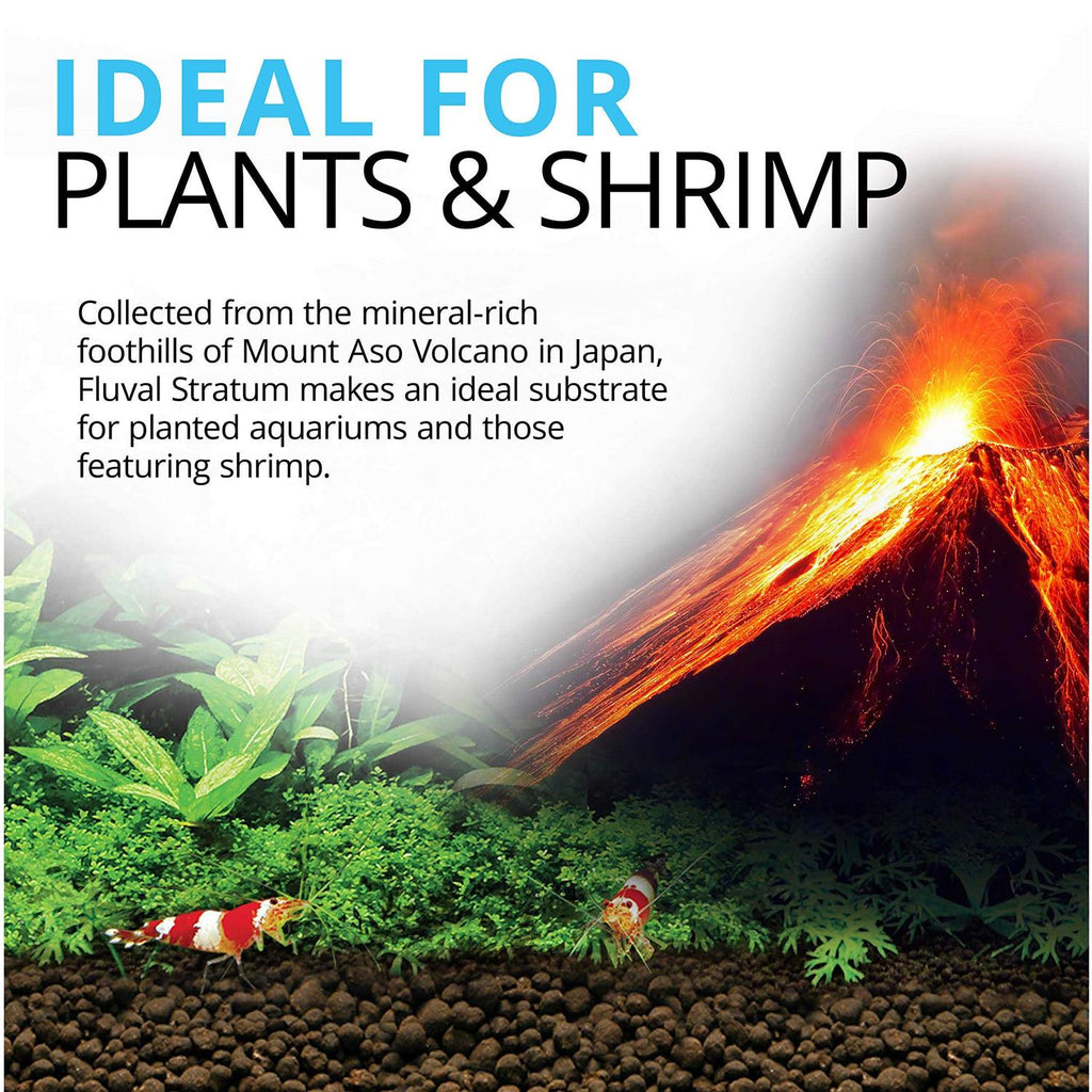 Plant and Shrimp Stratum N406