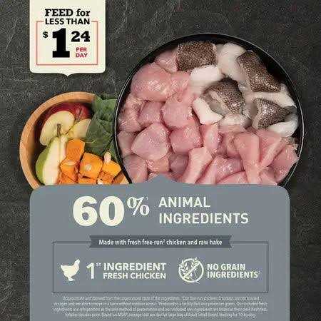 Small Breed Pet Supplies B946