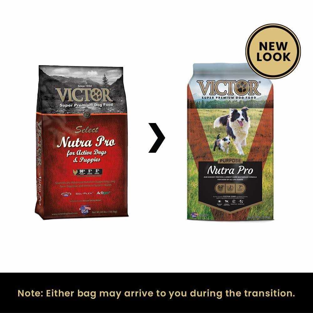 Dog Food P680821
