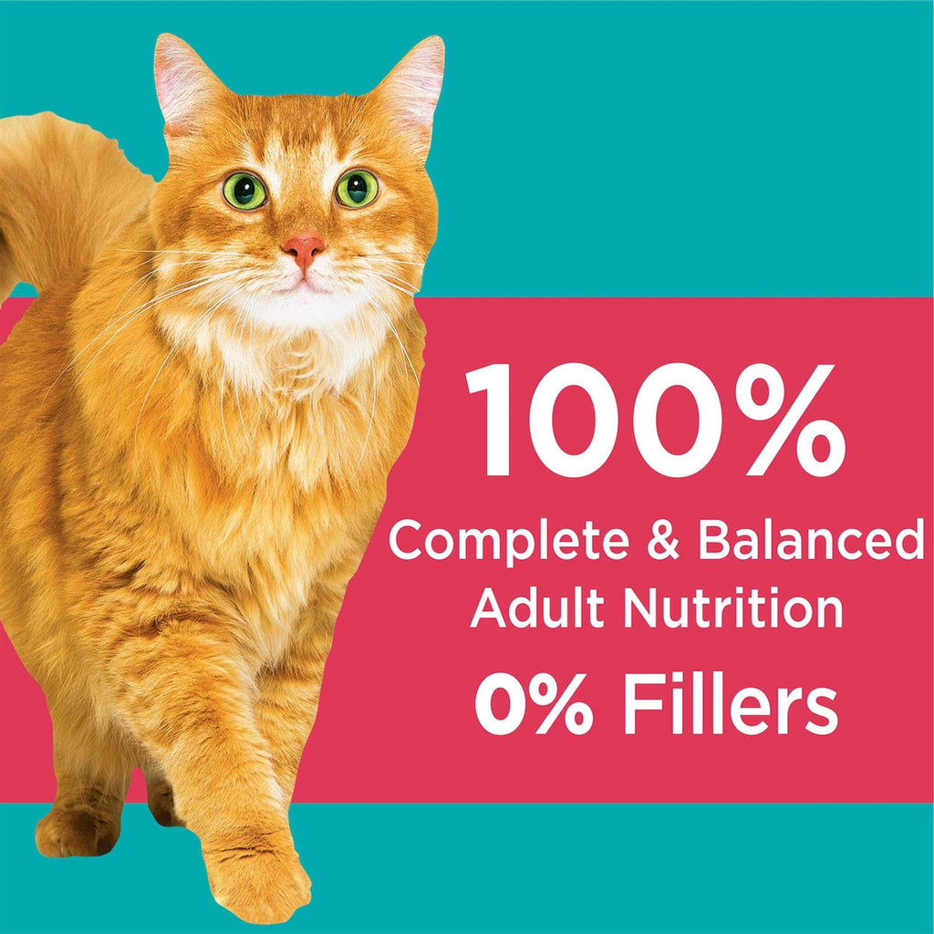Salmon Adult Dry Cat Food I61251
