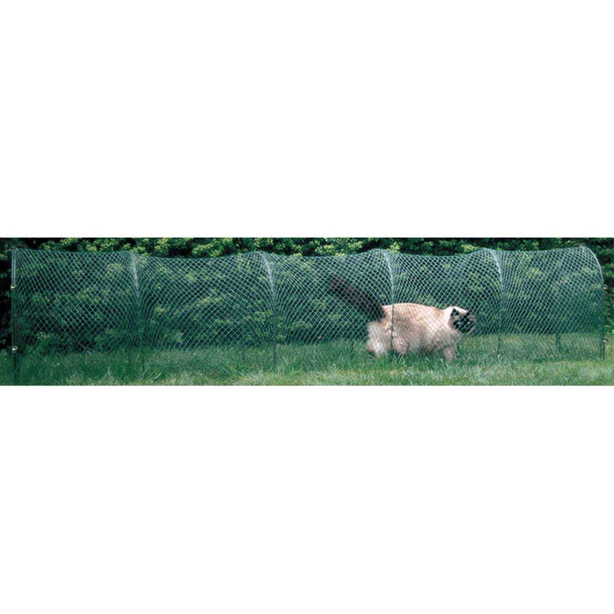 Outdoor Cat Enclosure M285