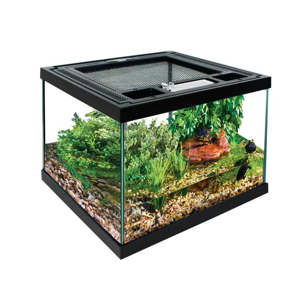 Glass Terrarium with Ventilation Opening and Feeding Hole J487073