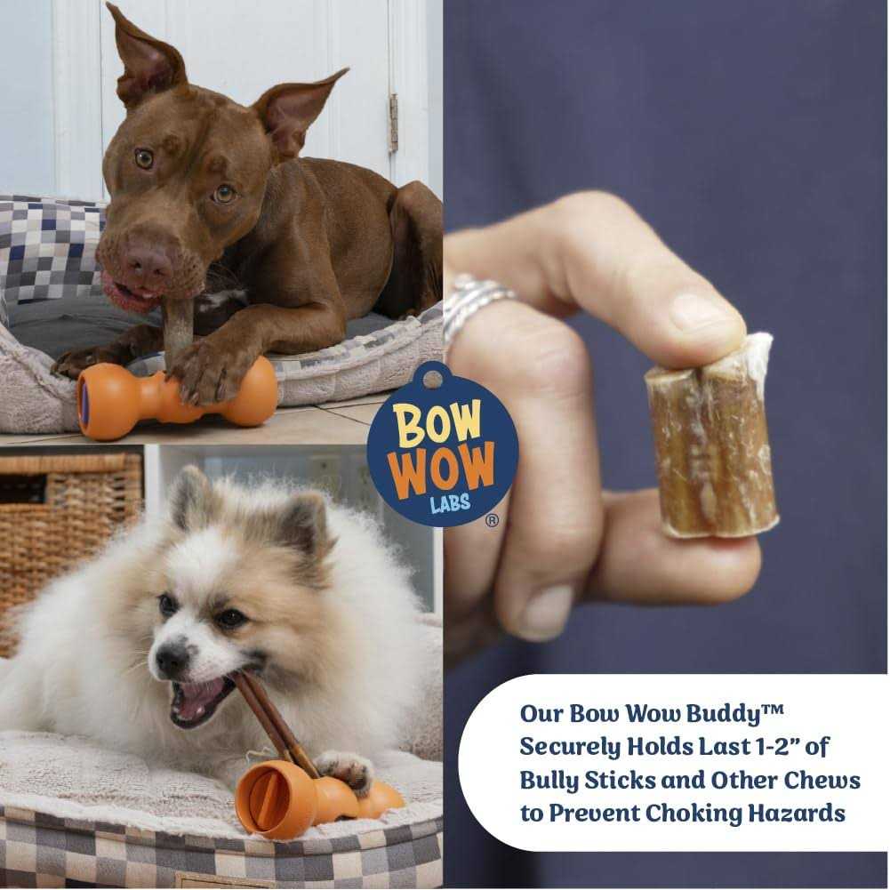 Bully Stick Holder for Dogs Starter Kit J929211
