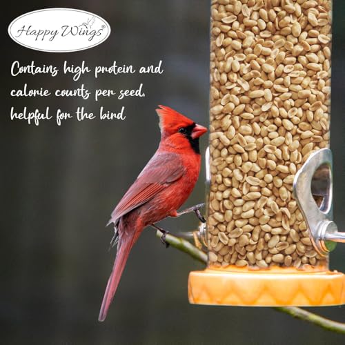 Peanuts Wild Bird Food 5 Pounds P430280