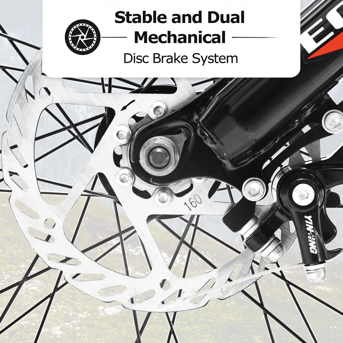 24 Inch Fat Tire Bike 7 Speeds Dual Disc Brake High-Carbon Steel Frame C595