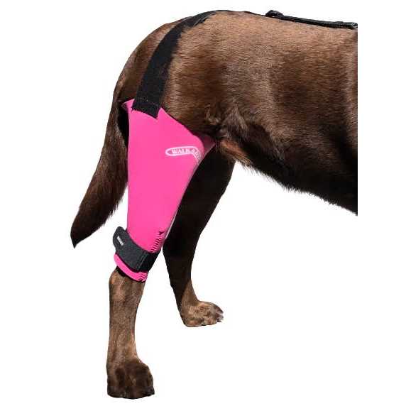 Dog & Cat Knee Brace O557