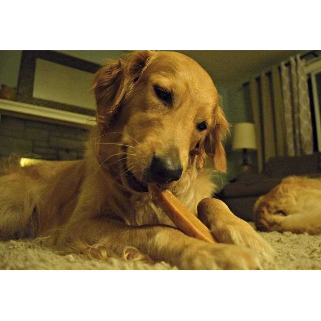 Yak Cheese Dog Chews P7406