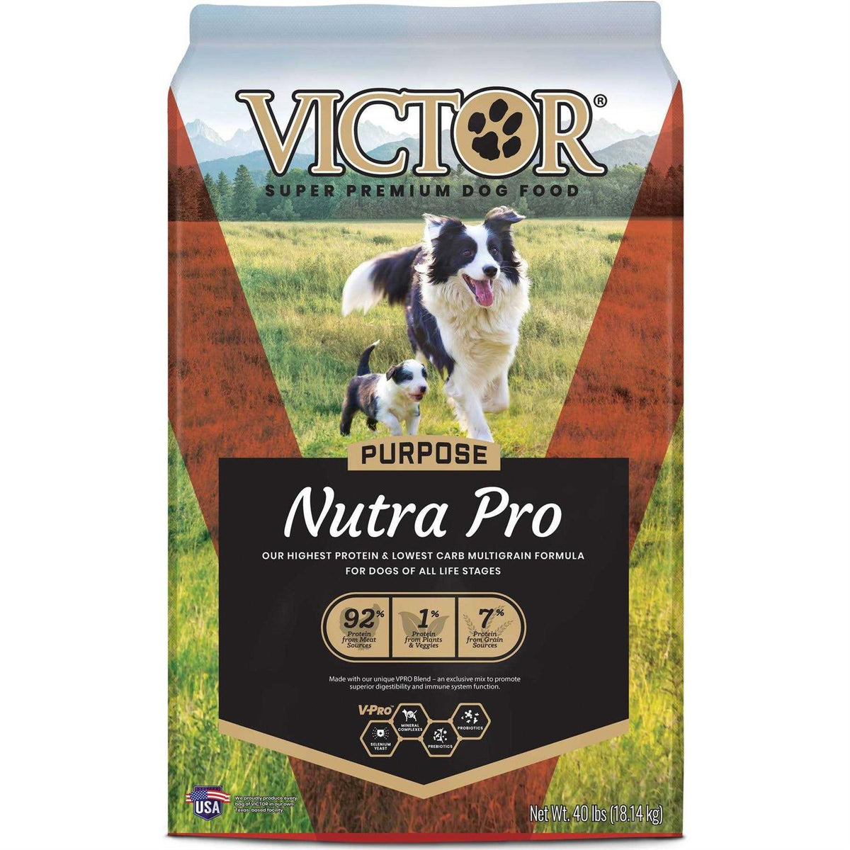 Dog Food P680821