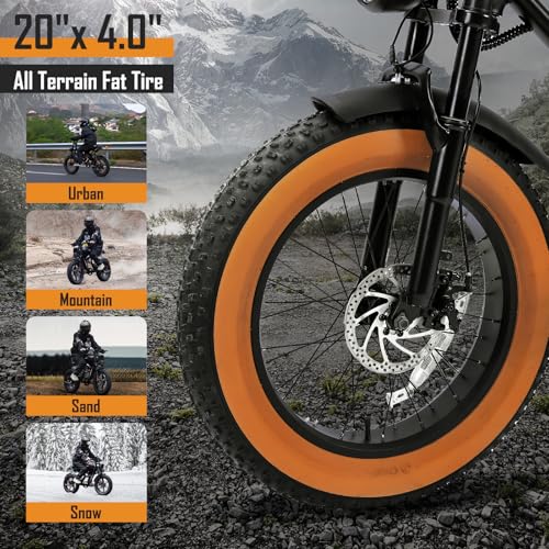 1000W 20" Fat Tire Electric Bike N3333