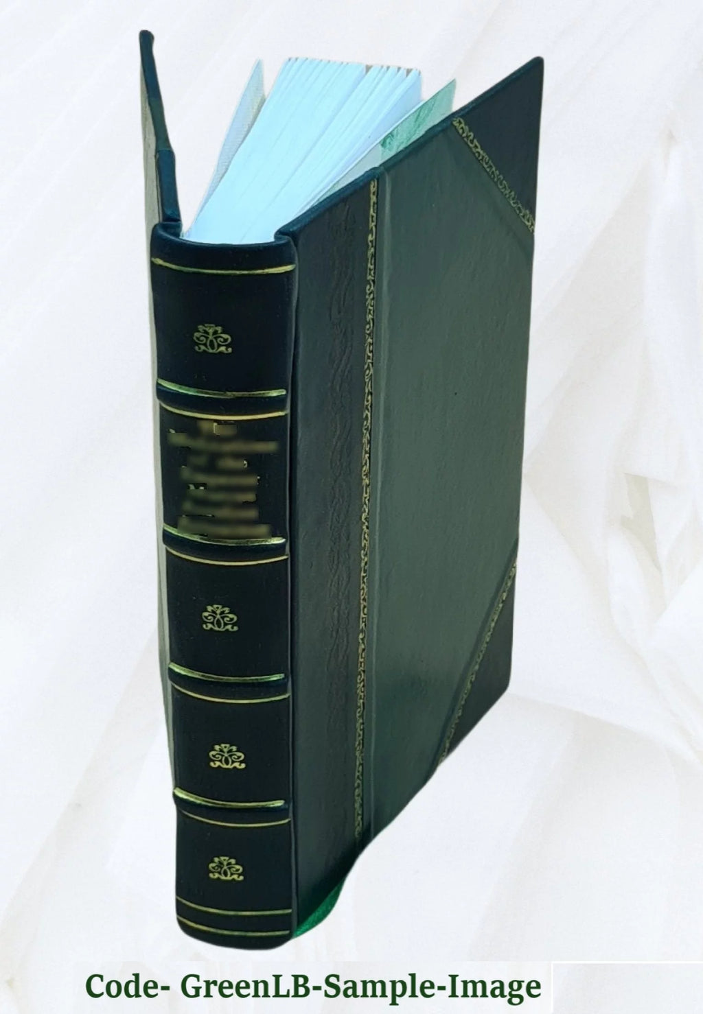 Leather Bound I1237